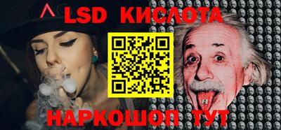 СК Кингисепп
