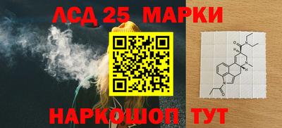 СК Кингисепп