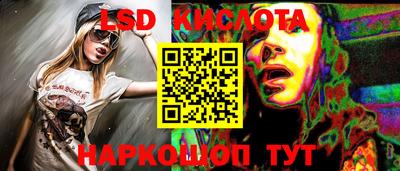 СК Кингисепп