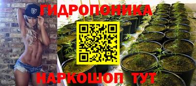 кокс Кандалакша
