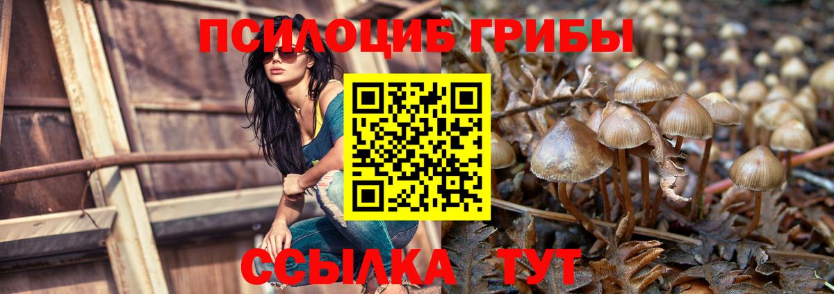 Галлюциногенные грибы Magic Shrooms  магазин    Вход с VPN  Коммунар  Псилоцибиновые грибы прущие грибы 